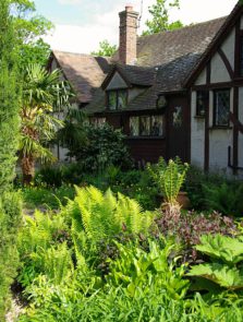 Egzotyczny ogród w Wielkiej Brytanii